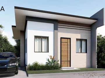 SUNNY PLAINS MANSILINGAN - CARA
