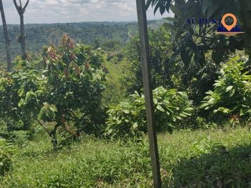 Hacienda de Venta en Puerto Quito con 2 casas - Vía a la Sexta