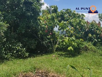 Hacienda de Venta en Puerto Quito con 2 casas - Vía a la Sexta