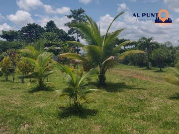 Hacienda de Venta en Puerto Quito con 2 casas - Vía a la Sexta