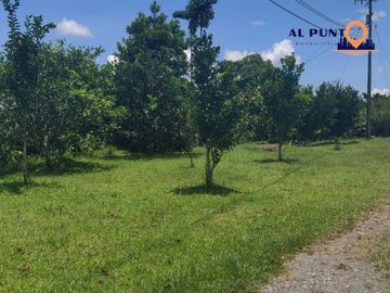 Hacienda de Venta en Puerto Quito con 2 casas - Vía a la Sexta
