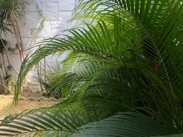 En venta casa en Tequesquitengo, Morelos