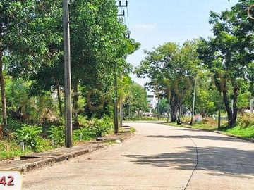 Land, Forest Park Village Project, 176 sq w, Minburi