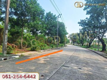 Land, Forest Park Village Project, 176 sq w, Minburi