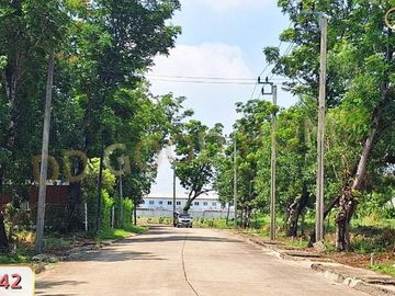 Land, Forest Park Village Project, 176 sq w, Minburi