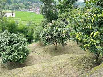Jual Tanah 2.460 m2 di Kota Magelang View Pegunungan Dekat Alun-Alun Magelang