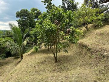 Jual Tanah 2.460 m2 di Kota Magelang View Pegunungan Dekat Alun-Alun Magelang