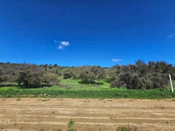 Espectaculares Mega Parcelas de 20.000 m2 Lo Orozco / Casablanca