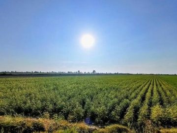 Venta De Casa En Condominio en Pisco
