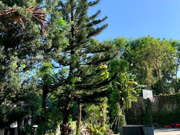 FOR SALE | Charming Home w/ Large Garden at Loyola Grand Villas Quezon City