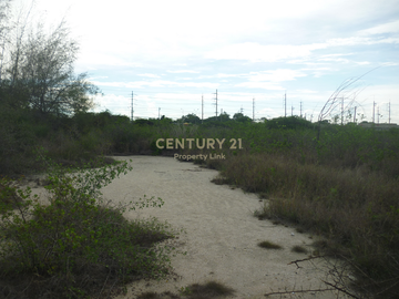Empty land for sale Filled in and has a wide frontage next to the main road with an exit to the Bang Pakong River. Tha Sa-an Subdistrict Bang Pakong-C