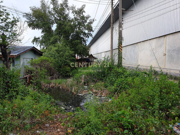 Empty land for sale Filled in and has a wide frontage next to the main road with an exit to the Bang Pakong River. Tha Sa-an Subdistrict Bang Pakong-C