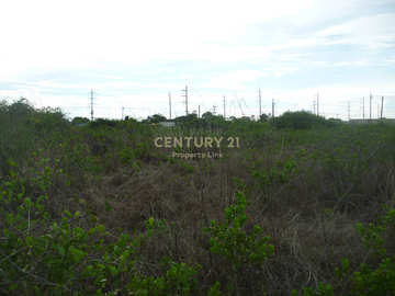 Empty land for sale Filled in and has a wide frontage next to the main road with an exit to the Bang Pakong River. Tha Sa-an Subdistrict Bang Pakong-C