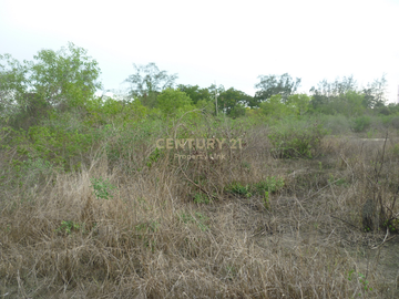 Empty land for sale Filled in and has a wide frontage next to the main road with an exit to the Bang Pakong River. Tha Sa-an Subdistrict Bang Pakong-C