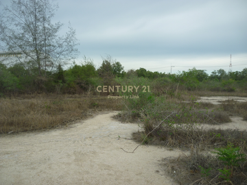 Empty land for sale Filled in and has a wide frontage next to the main road with an exit to the Bang Pakong River. Tha Sa-an Subdistrict Bang Pakong-C
