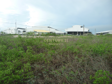 Empty land for sale Filled in and has a wide frontage next to the main road with an exit to the Bang Pakong River. Tha Sa-an Subdistrict Bang Pakong-C