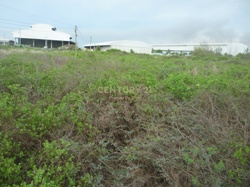 Empty land for sale Filled in and has a wide frontage next to the main road with an exit to the Bang Pakong River. Tha Sa-an Subdistrict Bang Pakong-C