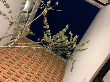CASA NUEVA EN VENTA EN MAYORCA RESIDENCIAL A UNOS MINUTOS DEL PUERTO INTERIOR DE LEON GTO