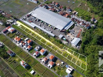Cheap Land for Sale in Mengwi Badung Bali