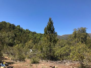 Se vende parcela plana de 5.043há en precordillera de Curicó, cerca de Parque El Buchen