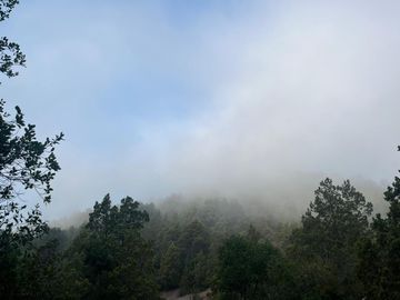 Se vende parcela plana de 5.043há en precordillera de Curicó, cerca de Parque El Buchen
