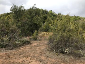 Se vende parcela plana de 5.043há en precordillera de Curicó, cerca de Parque El Buchen