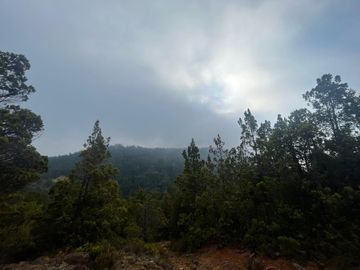 Se vende parcela plana de 5.043há en precordillera de Curicó, cerca de Parque El Buchen