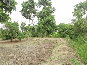 Venta de finca en Manabí, Ecuador