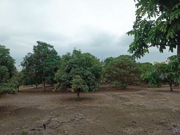 Venta de finca en Manabí, Ecuador