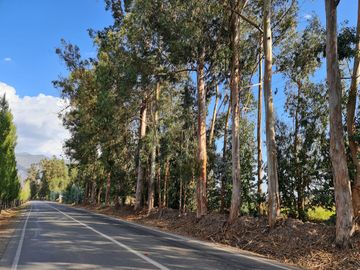 Venta parcela en Condominio Miravalle de hacienda los Lingues.