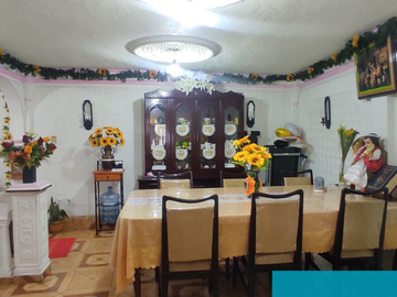 Casa en venta, 3ra Privada de Avenida Del Castillo, 3 niveles