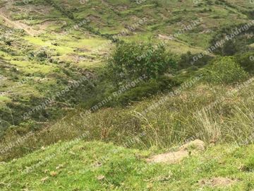 EN VENTA terreno de 7 hectáreas, Tumbaco, sector Chuspiyacu, Quito Ecuador