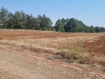 TERRENO DE 4 HECTÁREAS EN SAN JOSÉ OCOTILLOS