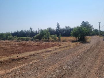 TERRENO DE 4 HECTÁREAS EN SAN JOSÉ OCOTILLOS