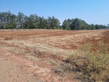 TERRENO DE 4 HECTÁREAS EN SAN JOSÉ OCOTILLOS
