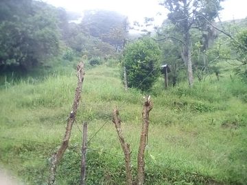 TE VENDO ESTA HUMILDE CASA FINCA EN BARBOSA ANTIOQUIA.