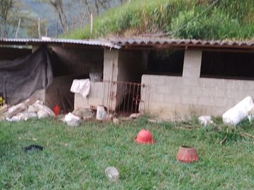 TE VENDO ESTA HUMILDE CASA FINCA EN BARBOSA ANTIOQUIA.