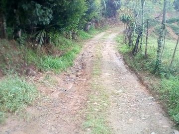 TE VENDO ESTA HUMILDE CASA FINCA EN BARBOSA ANTIOQUIA.