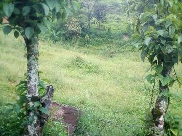 TE VENDO ESTA HUMILDE CASA FINCA EN BARBOSA ANTIOQUIA.