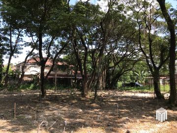 Property ID202LS Land for sale in Mae Rim 1-54 Rai  near Nakornping Hospital