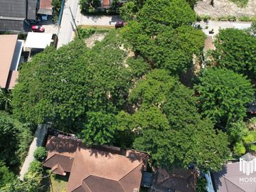 Property ID202LS Land for sale in Mae Rim 1-54 Rai  near Nakornping Hospital