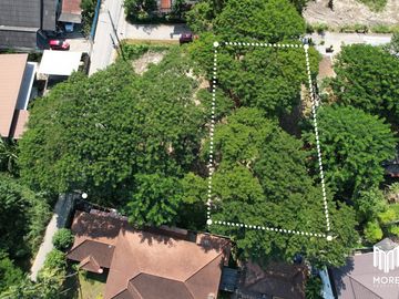 Property ID202LS Land for sale in Mae Rim 1-54 Rai  near Nakornping Hospital