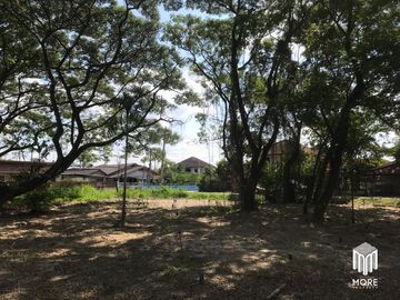 Property ID202LS Land for sale in Mae Rim 1-54 Rai  near Nakornping Hospital