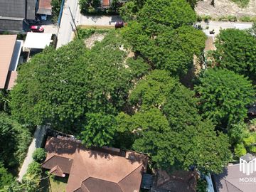 Property ID202LS Land for sale in Mae Rim 1-54 Rai  near Nakornping Hospital