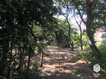 Property ID202LS Land for sale in Mae Rim 1-54 Rai  near Nakornping Hospital