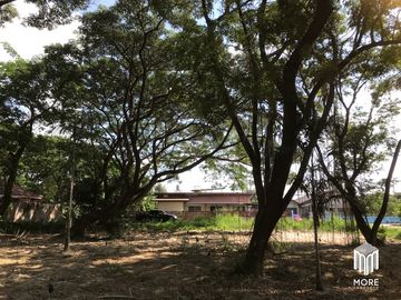Property ID202LS Land for sale in Mae Rim 1-54 Rai  near Nakornping Hospital