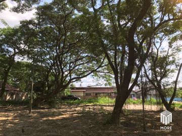 Property ID202LS Land for sale in Mae Rim 1-54 Rai  near Nakornping Hospital