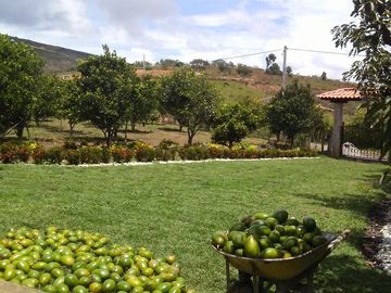 Se vente Finca via  Barichara