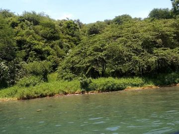 TEQUESQUITENGO VENTA DE TERRENO 42,500 M2 CON PLAYA DE SUPER OPORTUNIDAD