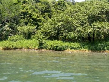 TEQUESQUITENGO VENTA DE TERRENO 42,500 M2 CON PLAYA DE SUPER OPORTUNIDAD